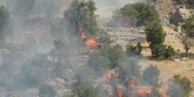 بیانیه جامعه اسلامی دانشجویان دانشگاه های استان آذربایجان شرقی پیرامون آتش سوزی جنگل های ارسباران